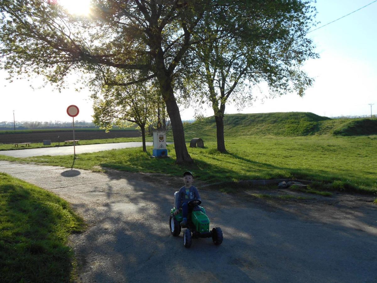 Penzion Imrichovi Moravská Nová Ves Exterior foto